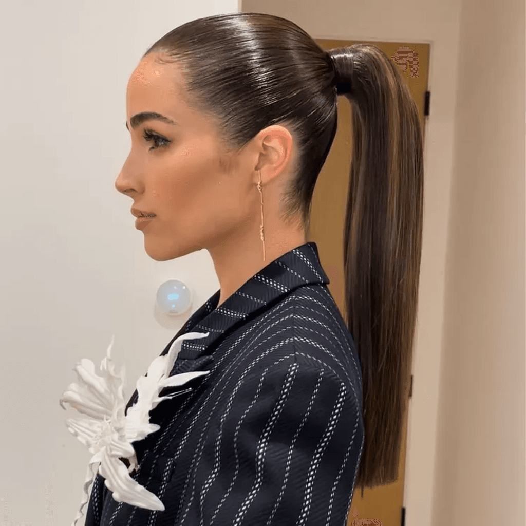 Sleek Ponytail hairstyle