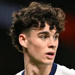 Undercut Curly Quiff