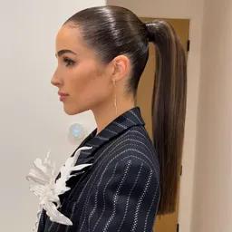 Sleek Ponytail